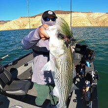 Load image into Gallery viewer, DropJawFlies 10" Rainbow Trout Stocker Fly