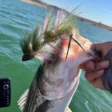 Load image into Gallery viewer, DropJawFlies 10&quot; Rainbow Trout Stocker Fly
