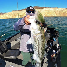 Load image into Gallery viewer, DropJawFlies 10&quot; Rainbow Trout Stocker Fly
